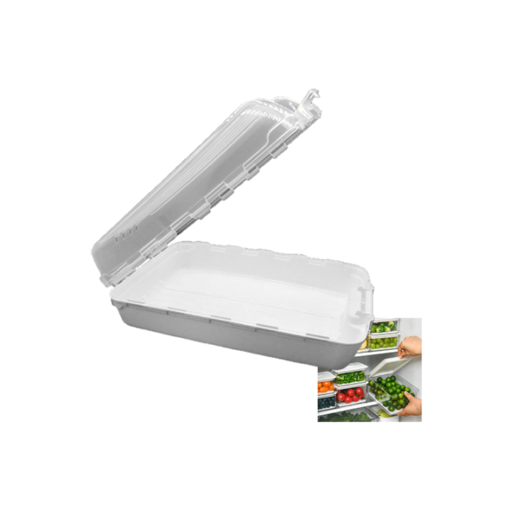 Buzdolabı Saklama Kabı Organizer Royaleks-07412