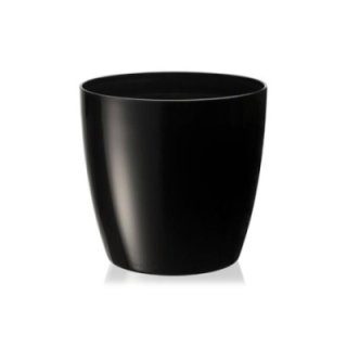 3No Saksı 4.40Lt Royaleks-YK03