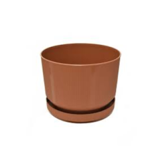 3No Saksı 6Lt Royaleks-S283