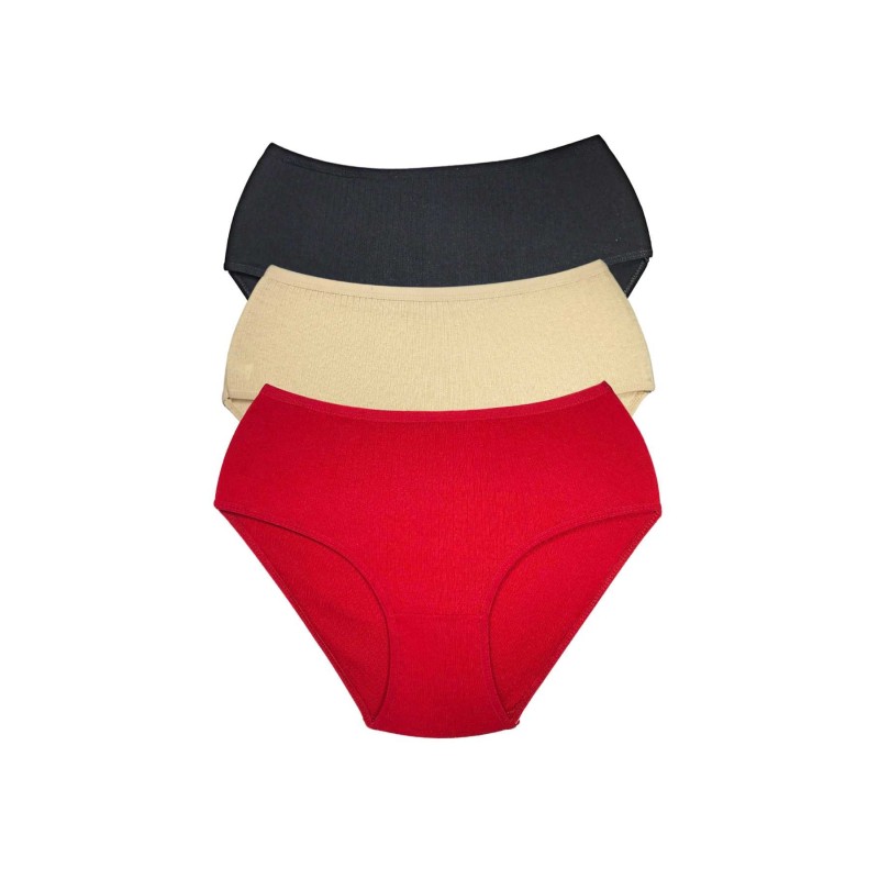 3 Adet Kadın Yüksek Bel Ribana Bato Külot S027